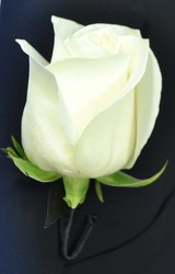 Rose Boutonniere from Dallas Sympathy Florist in Dallas, TX